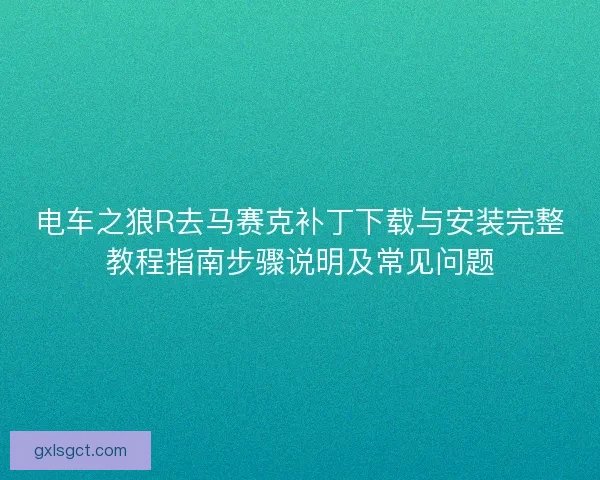 电车之狼R去马赛克补丁下载与安装完整教程指南步骤说明及常见问题