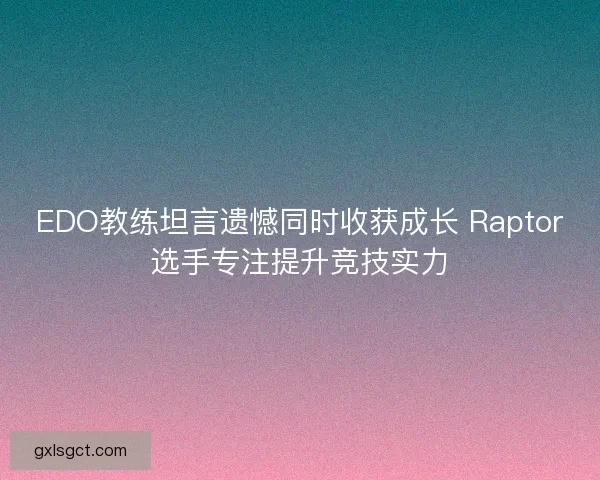 EDO教练坦言遗憾同时收获成长 Raptor选手专注提升竞技实力 EDO教练坦言遗憾同时收获成长 Raptor选手专注提升竞技实力